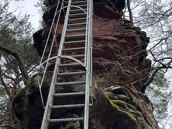 24-03-01 13-40-35 2349